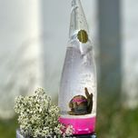 ژل آبرسان حلزون 260میل