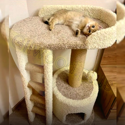 اسکرچر مدل آلیس