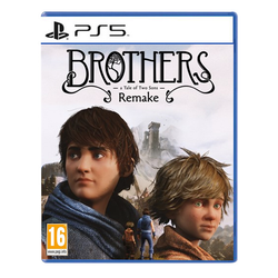 اکانت قانونی BROTHERS REMAKE PS5