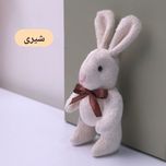 خرگوش ( رنگ را انتخاب کنید )