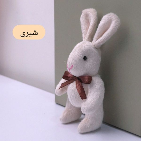 خرگوش ( رنگ را انتخاب کنید )