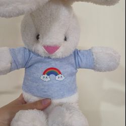 خرگوش لباسدار