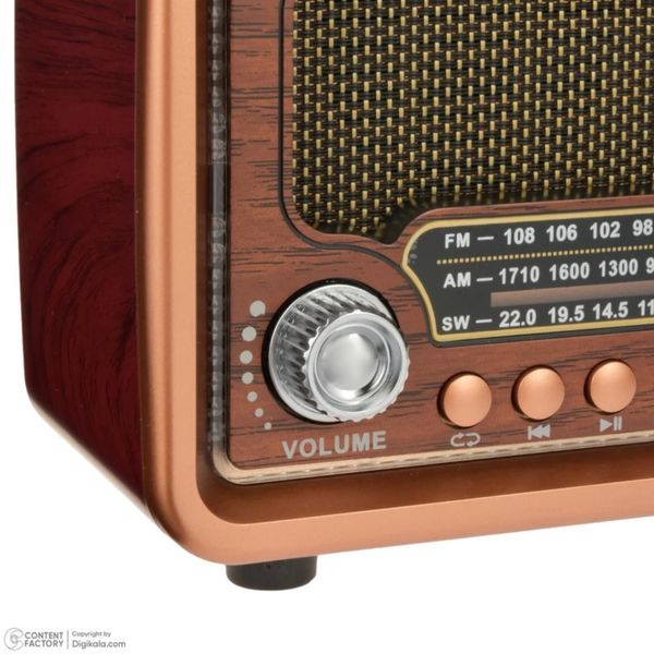 رادیو 3 موج کنترل دار،قوی ،سایزبزرگ،فلش خور و شارژی savoy مدل sv-1130bt