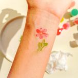 رنگ صورت هلو هابی مدل قوطی بسته 12 عددی