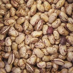لوبیا چیتی کالپوش یک کیلو گرم