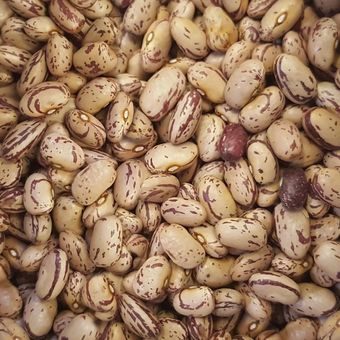 لوبیا چیتی کالپوش یک کیلو گرم