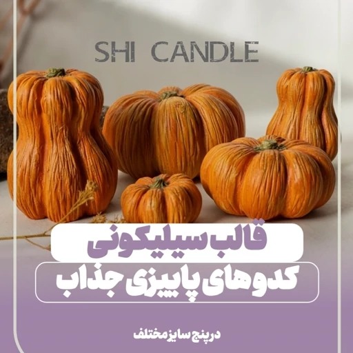 قالب سیلیکونی ست کدوهای جذاب پاییزی