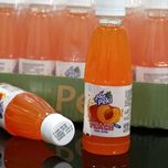آب هلو 230میلی لیتر-بطری پت (pet)-باکس 15عددی