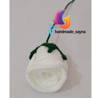 شاخه گل رز بدون برگ