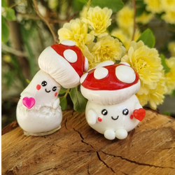 روداشبوردی قارچ لاغر