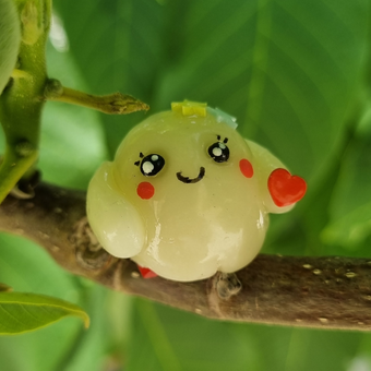 روداشبوردی روح شبتاب