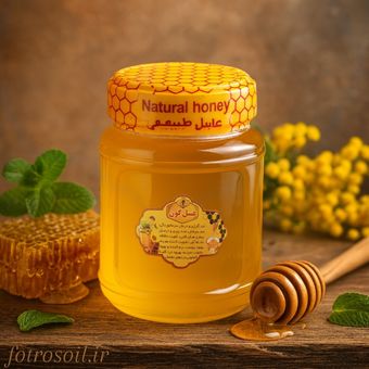 عسل گون فطرس یک کیلویی 100٪ شهد گل