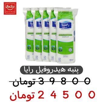 پنبه بهداشتی رایا کد 01 بسته 20عددی