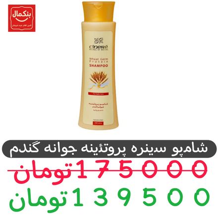 شامپو سینره-پروتئینه جوانه گندم-250میل