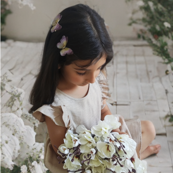 گیره پروانه حریر سری 2