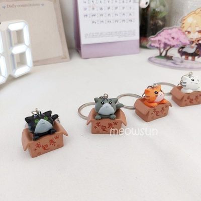 جاکلیدی گربه تو جعبه