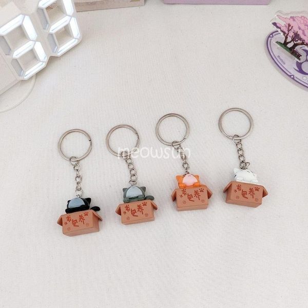 جاکلیدی گربه تو جعبه