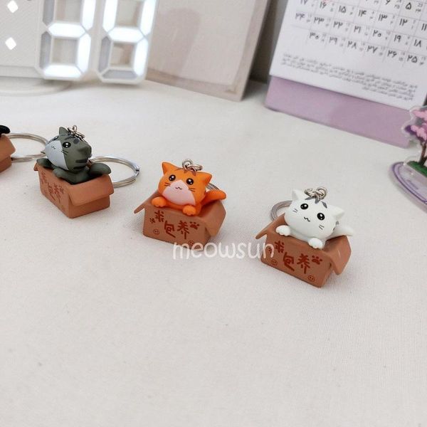 جاکلیدی گربه تو جعبه