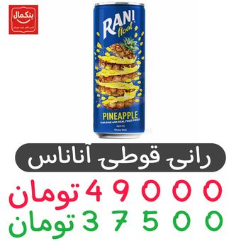 رانی آناناس قوطی -24عددی
