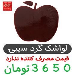 لواشک سیبی قرمز شیخ بابا -36گرم-20×20- 10عددی