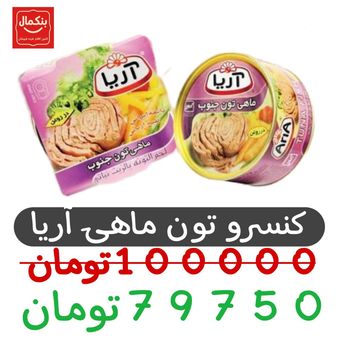 کنسرو تن ماهی آریا -هوور-180گرم-24عدد
