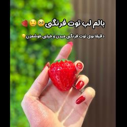 بالم لب توت فرنگی