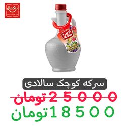 سرکه سفید کوچک 470میل ادیب -12عددی