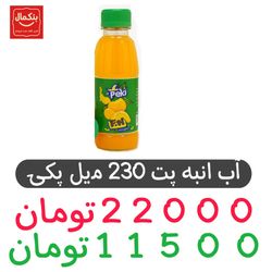 آب انبه 230میل پت -باکس 24عددی