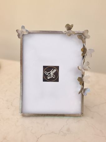 قاب عکس پروانه نقره ای