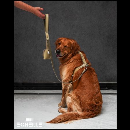 ست هارنس، لیش و پوپ بگ چرم طبیعی مدل Fera