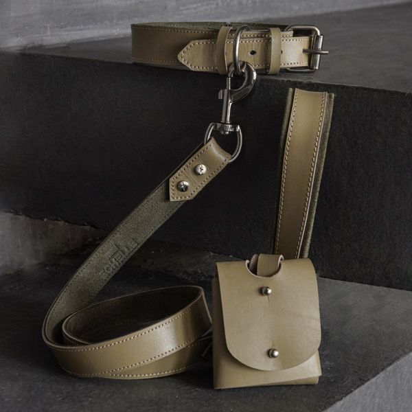 ست هارنس، لیش و پوپ بگ چرم طبیعی مدل Fera