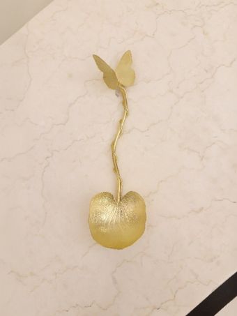 قاشق آجیل برنجی | مدل پروانه