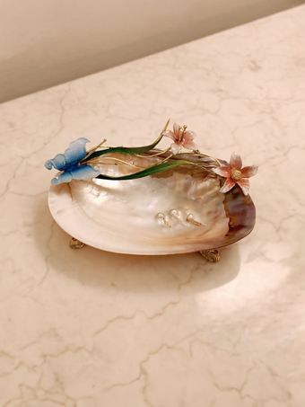 صدف پایه حلزونی