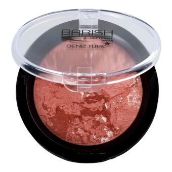 رژگونه تراکوتا باریش 204