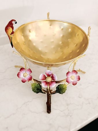 آجیل مخروطی