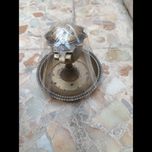 جا هودی انتیگ