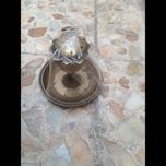 جا هودی انتیگ