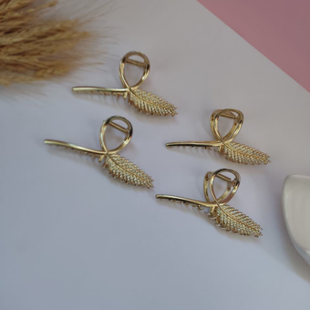 کلیپس مجلسی