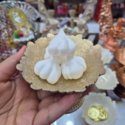 سیر پلاستیکی