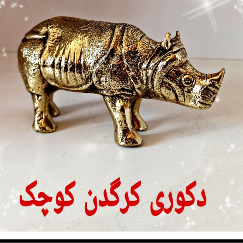 کرگدن کوچک