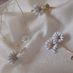 سرویس کامل بابونه