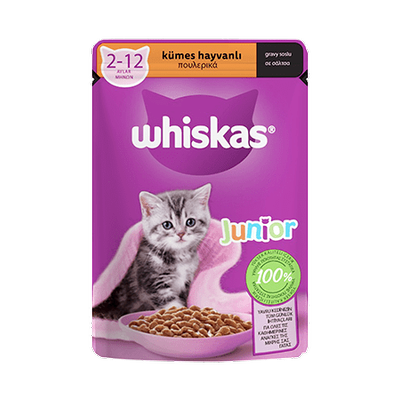 پوچ بچه گربه ویسکاس طیور در سس 85 گرم ا Whiskas junior With Chicken 85g