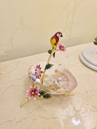 صدف طوطی برنجی | مدل 3