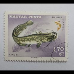تمبر خارجی 1.70 فورینت- مجارستان-مهر دارـ بدون چسب- کشور مجارستان
