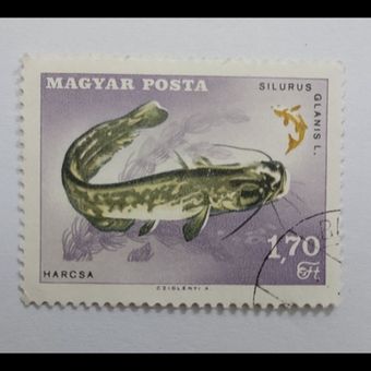 تمبر خارجی 1.70 فورینت- مجارستان-مهر دارـ بدون چسب- کشور مجارستان