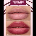 خط لب پلامپری شیگلم مدل Bold Booster رنگ Storm Bloom