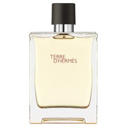 عطر ادکلن هرمس تق هرمس | Hermes Terre d’Hermes