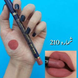رژ مدادی استی لودر شماره ۲۱۰