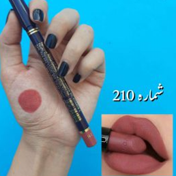 رژ مدادی استی لودر شماره ۲۱۰
