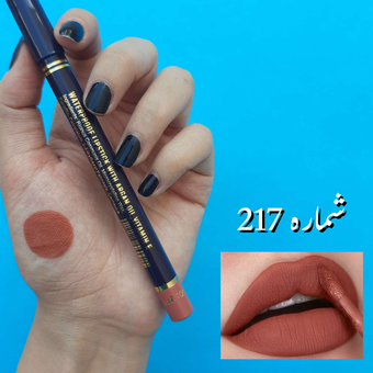 رژ مدادی استی لودر شماره ۲۱۷